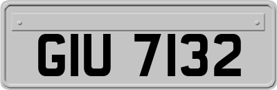 GIU7132