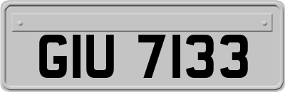 GIU7133