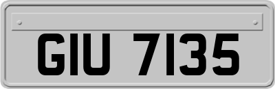 GIU7135