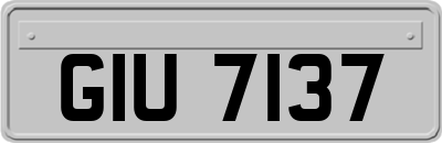 GIU7137