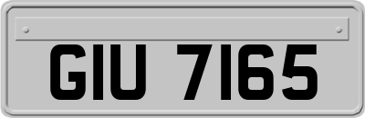 GIU7165