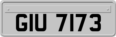 GIU7173