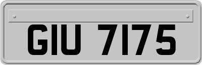 GIU7175