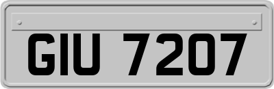 GIU7207
