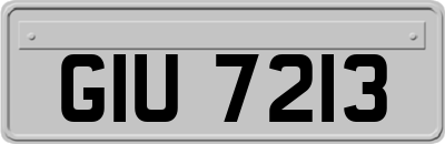GIU7213