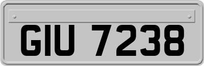 GIU7238