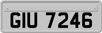 GIU7246