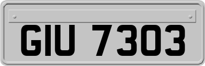 GIU7303