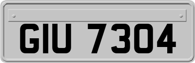 GIU7304