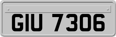 GIU7306