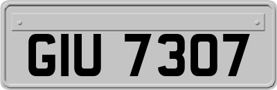 GIU7307