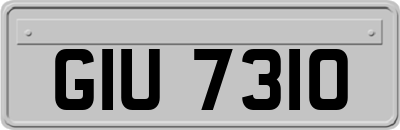 GIU7310