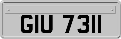 GIU7311