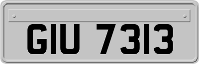 GIU7313