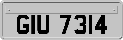 GIU7314
