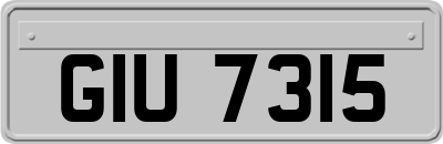 GIU7315