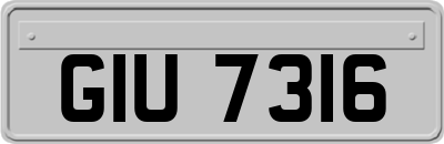 GIU7316