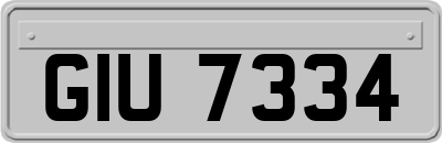 GIU7334