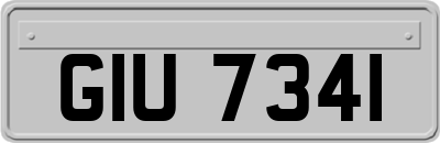 GIU7341