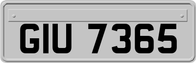 GIU7365