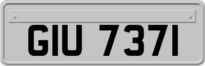 GIU7371