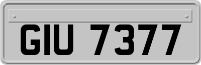 GIU7377