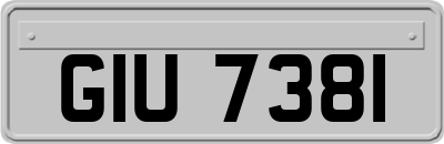 GIU7381