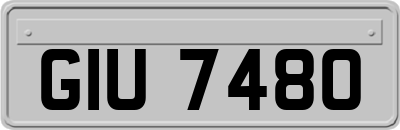 GIU7480