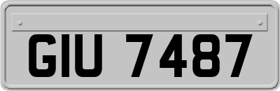 GIU7487