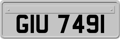 GIU7491