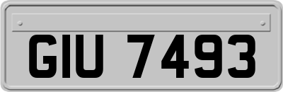 GIU7493