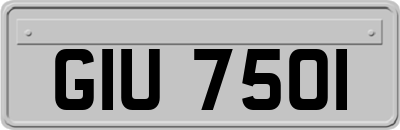 GIU7501