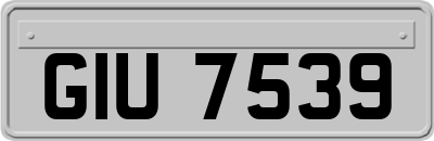 GIU7539