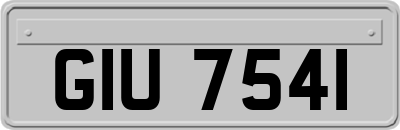 GIU7541