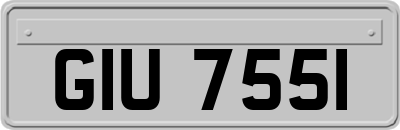 GIU7551
