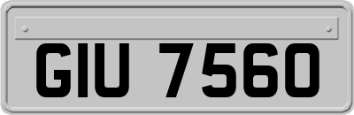 GIU7560