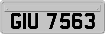 GIU7563