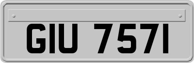 GIU7571