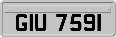 GIU7591