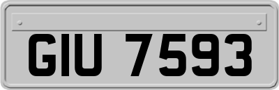 GIU7593