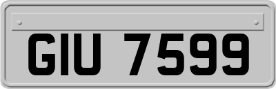 GIU7599