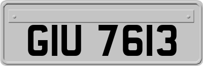 GIU7613