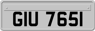 GIU7651