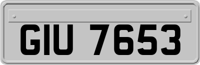 GIU7653