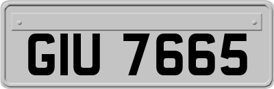 GIU7665