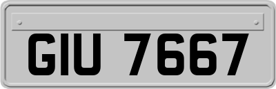 GIU7667