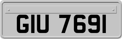 GIU7691