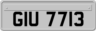 GIU7713
