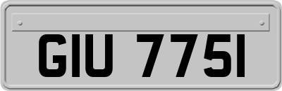 GIU7751