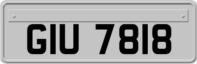 GIU7818